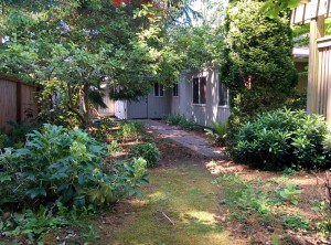 Overgrown landscaping in the side yard.