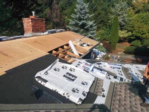 Work underway on the back of the house and the kitchen skylight.