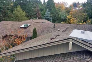 Completed roof showing a bit of the PBO shed roof, one of the new opening skylights, and the absence of the central chimney.